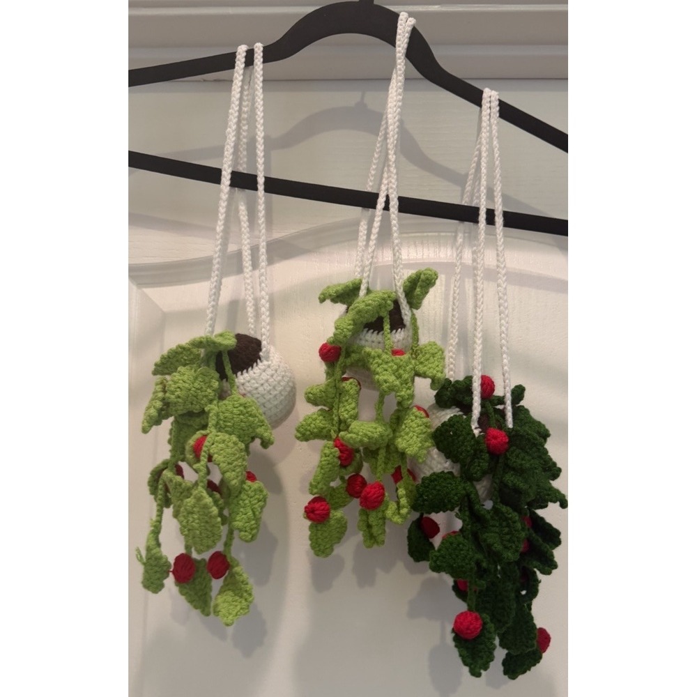 Set of 3 Handmade Crochet Hanging Berry Planters Amigurumi Cottagecore Decor